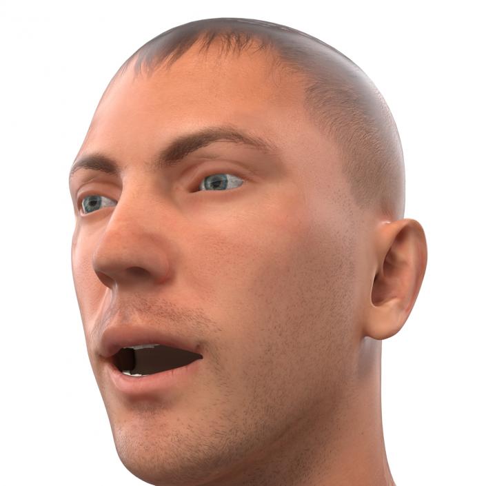 3D Caucasian Male Head Rigged