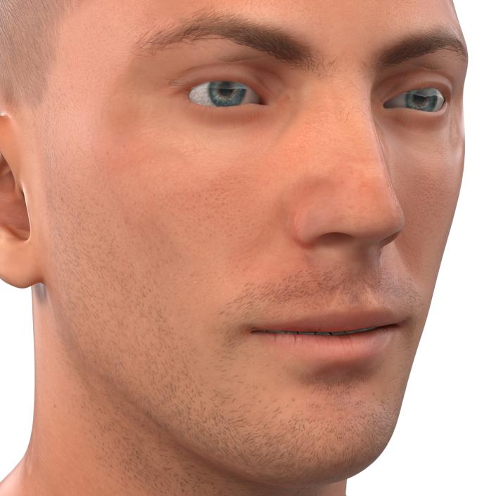 3D Caucasian Male Head Rigged