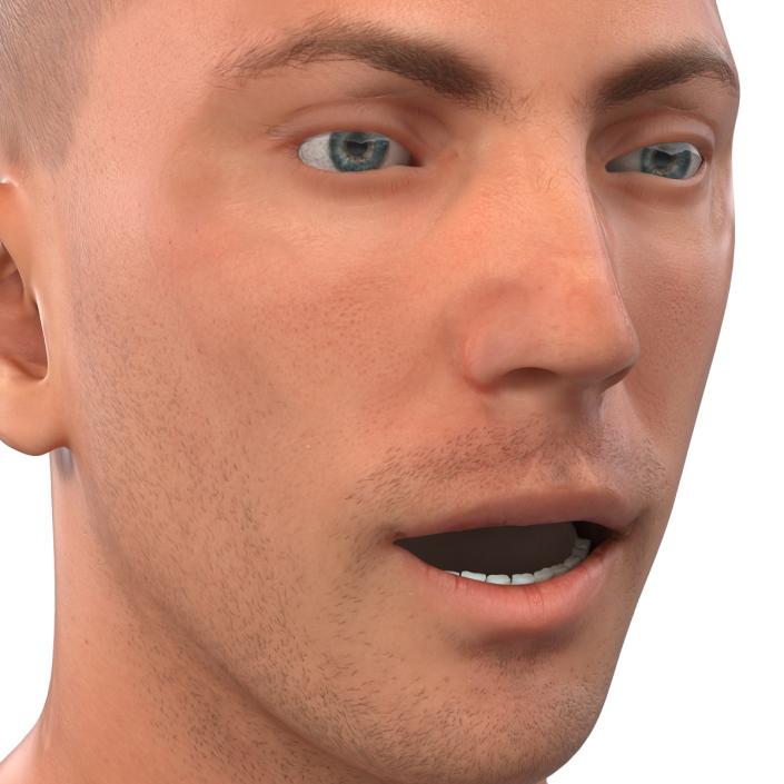 3D Caucasian Male Head Rigged