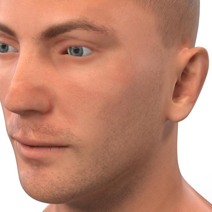 3D Caucasian Male Head Rigged