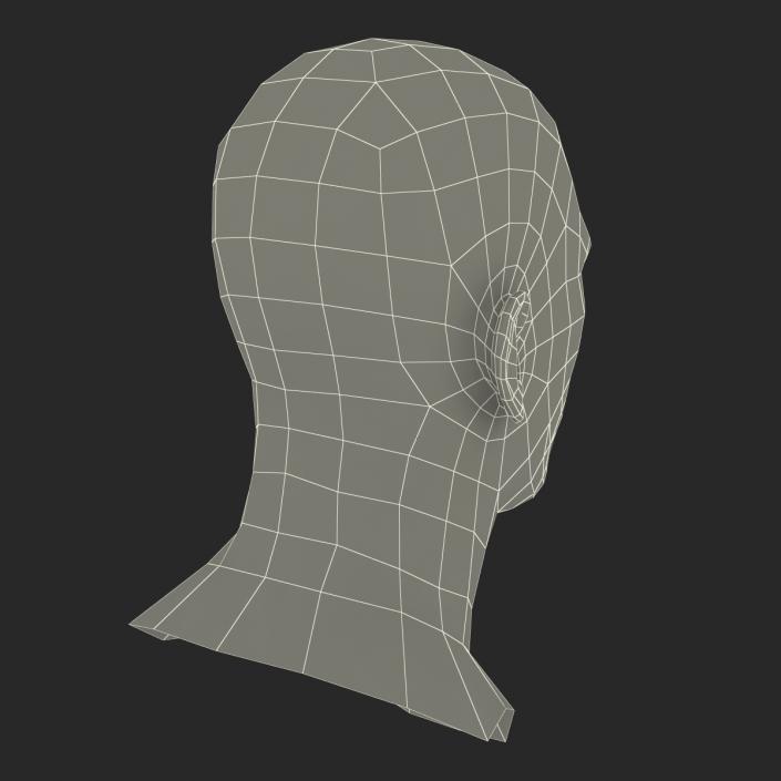 3D Caucasian Male Head Rigged