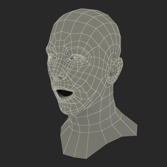 3D Caucasian Male Head Rigged