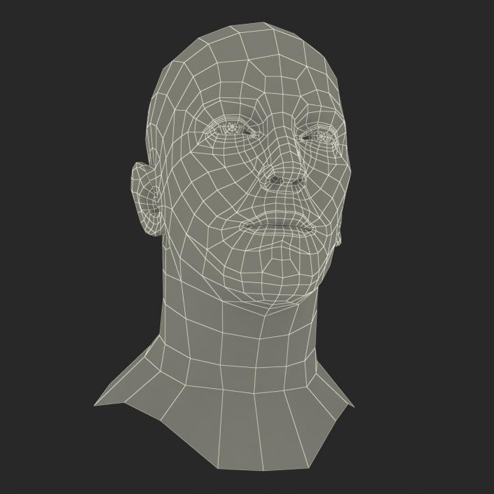 3D Caucasian Male Head Rigged