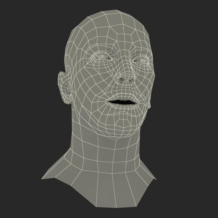 3D Caucasian Male Head Rigged