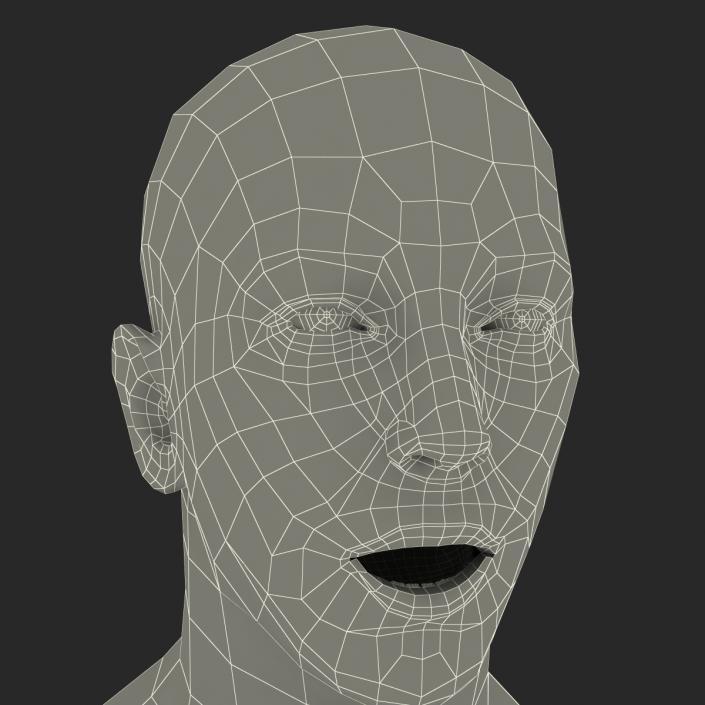 3D Caucasian Male Head Rigged