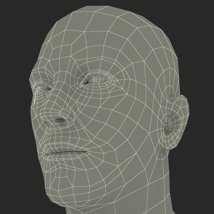 3D Caucasian Male Head Rigged