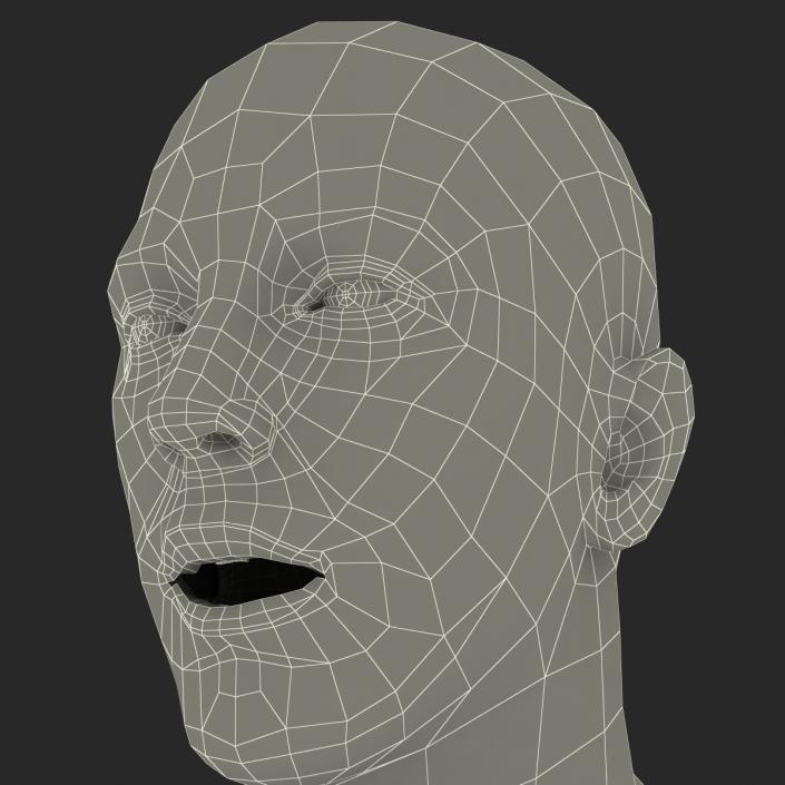 3D Caucasian Male Head Rigged