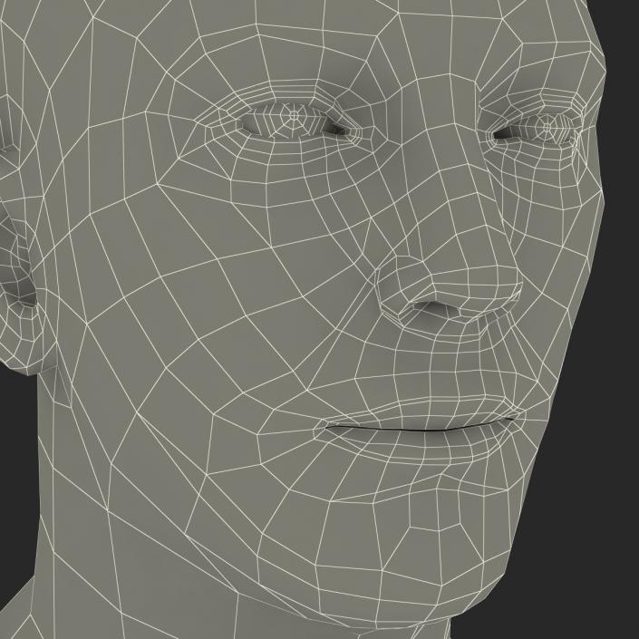 3D Caucasian Male Head Rigged