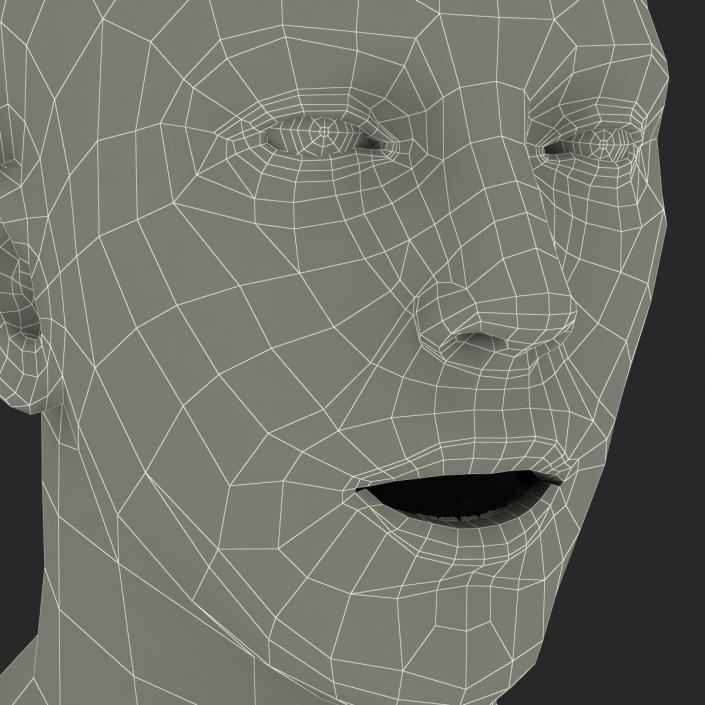 3D Caucasian Male Head Rigged