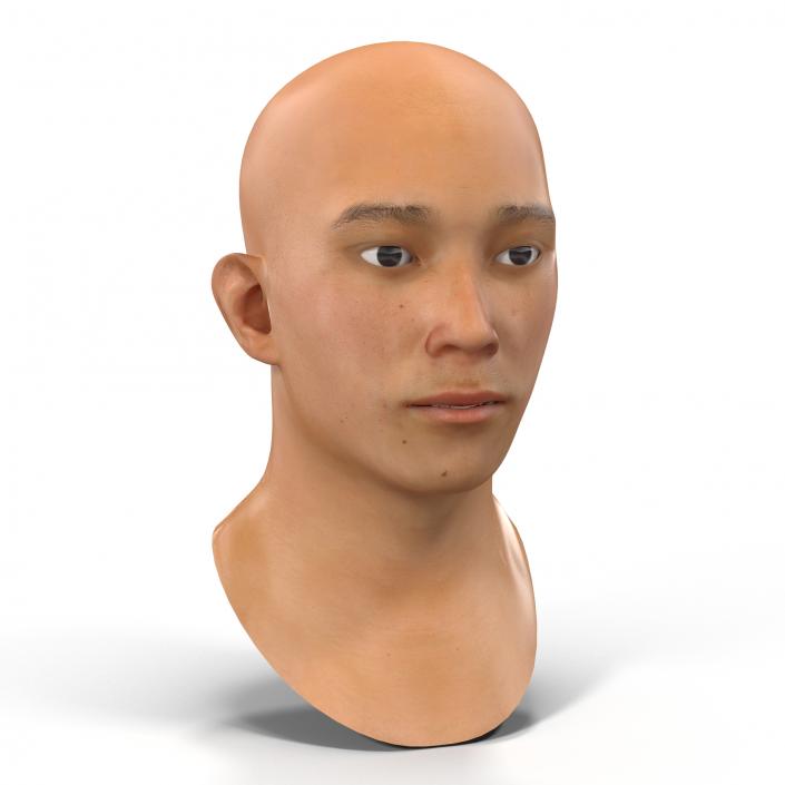 3D model Asian Male Head