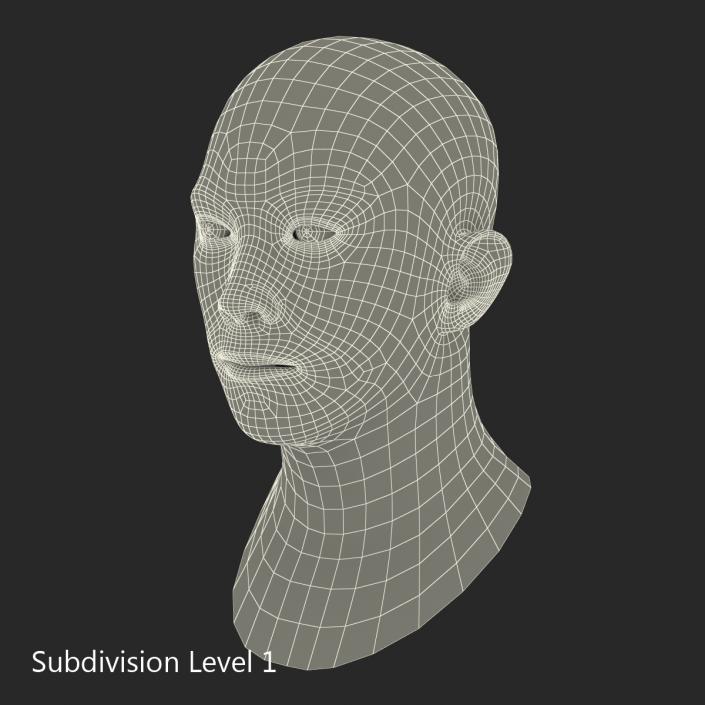 3D model Asian Male Head