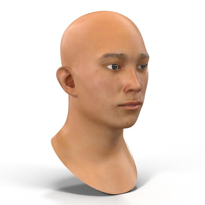 3D model Asian Male Head