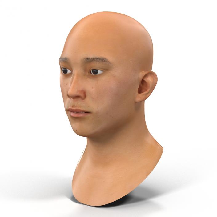 3D model Asian Male Head