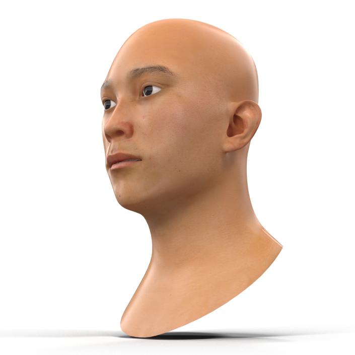 3D model Asian Male Head