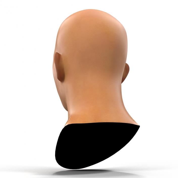 3D model Asian Male Head