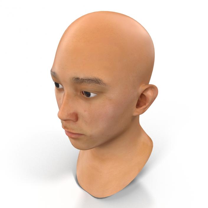 3D model Asian Male Head