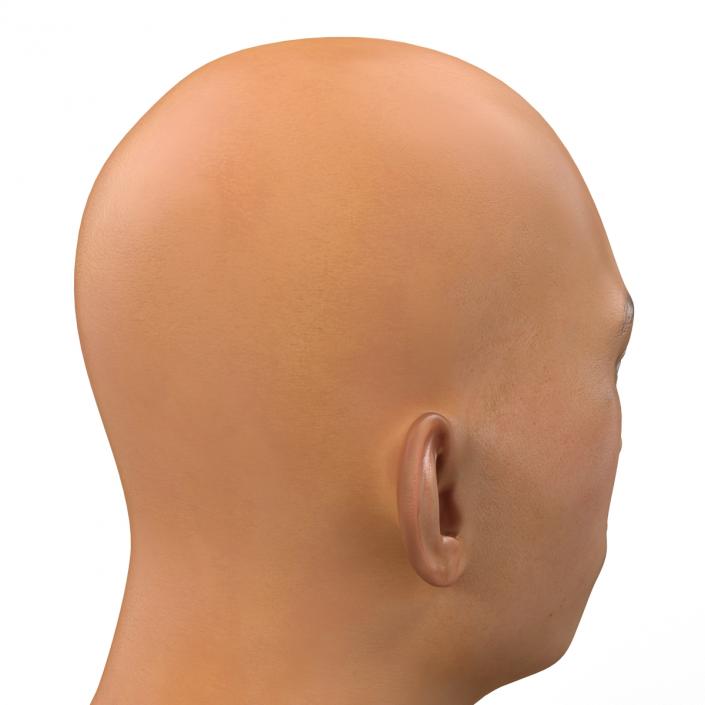 3D model Asian Male Head