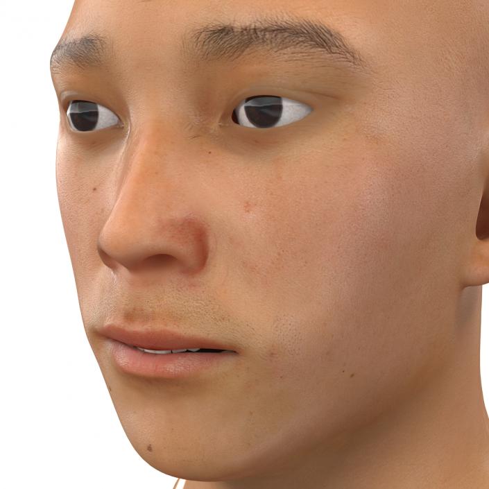 3D model Asian Male Head