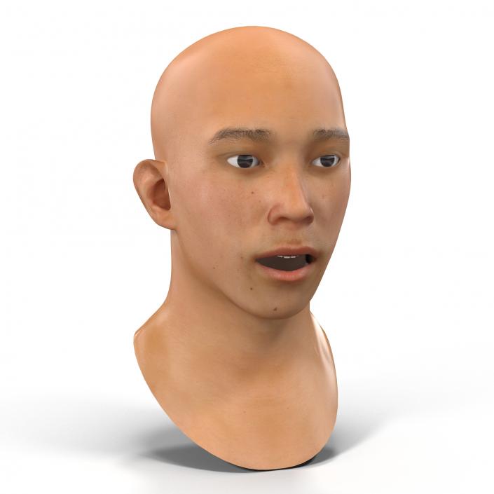 Asian Male Head Rigged 3D