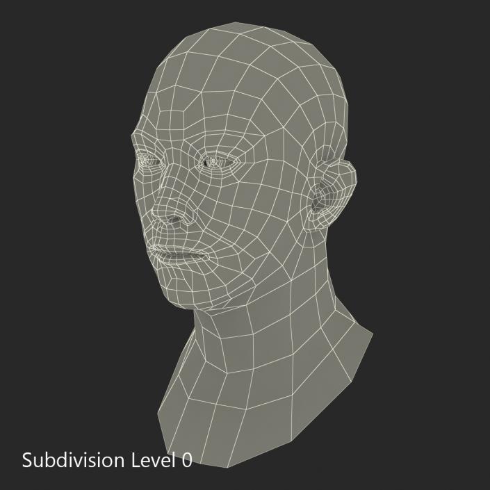 Asian Male Head Rigged 3D