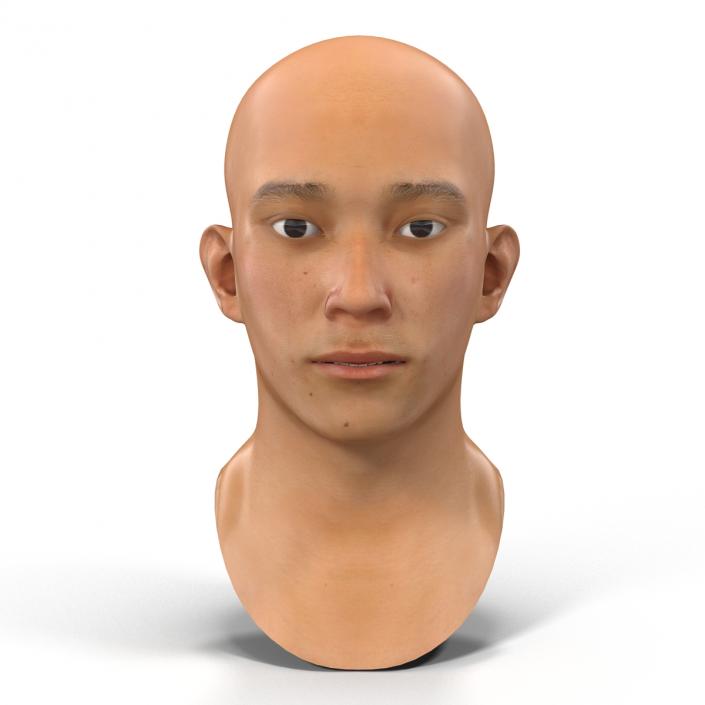 Asian Male Head Rigged 3D