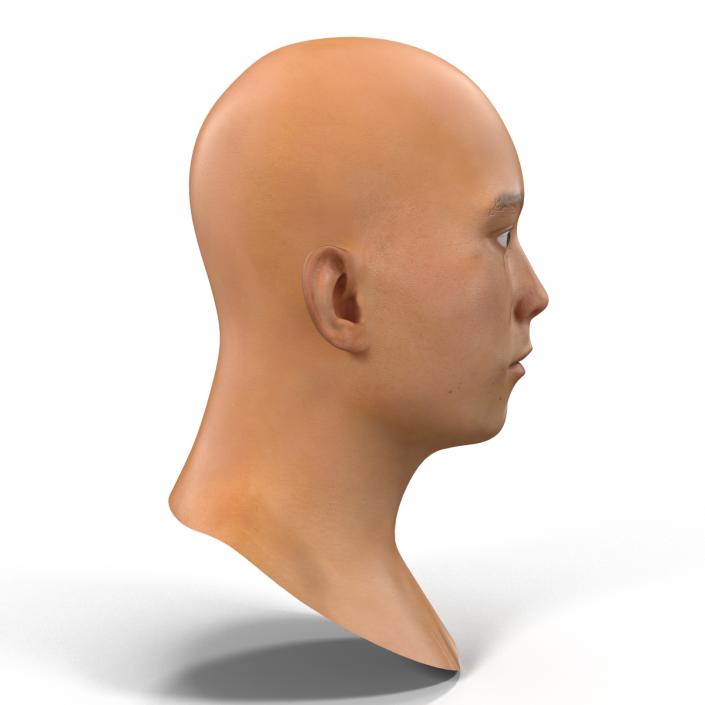 Asian Male Head Rigged 3D