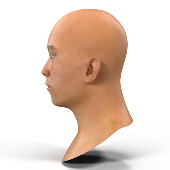 Asian Male Head Rigged 3D