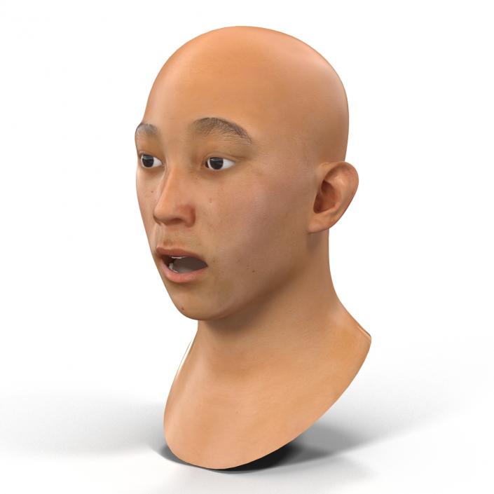 Asian Male Head Rigged 3D