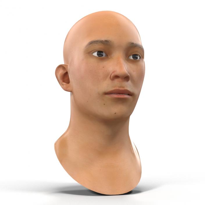 Asian Male Head Rigged 3D