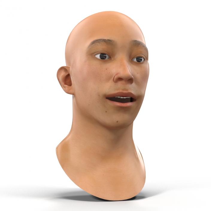 Asian Male Head Rigged 3D