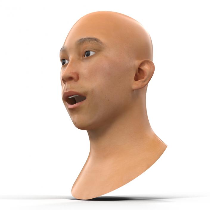 Asian Male Head Rigged 3D