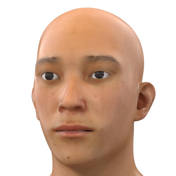 Asian Male Head Rigged 3D