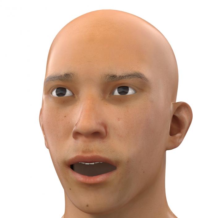 Asian Male Head Rigged 3D