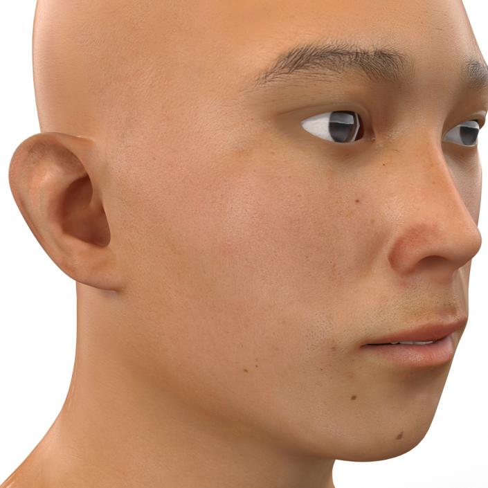 Asian Male Head Rigged 3D