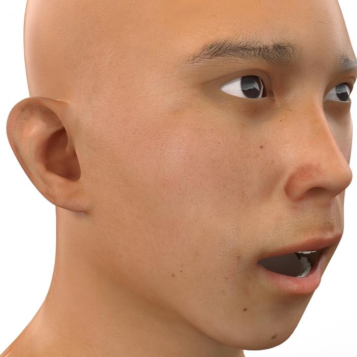 Asian Male Head Rigged 3D