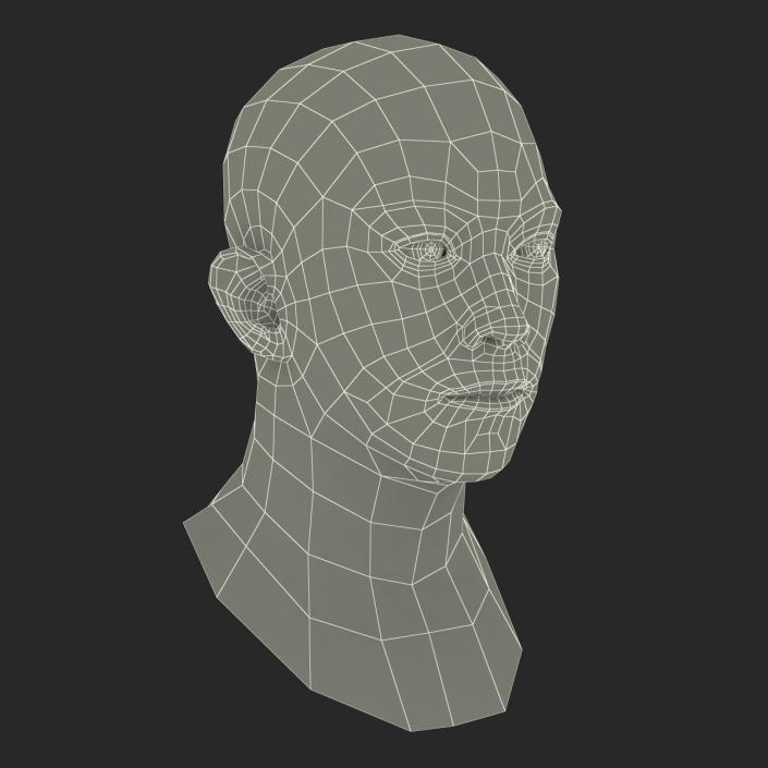 Asian Male Head Rigged 3D