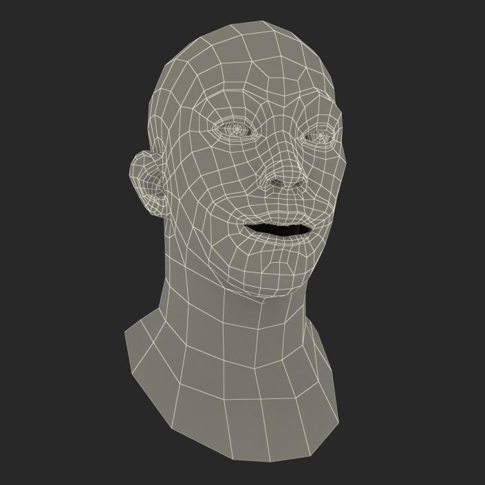 Asian Male Head Rigged 3D