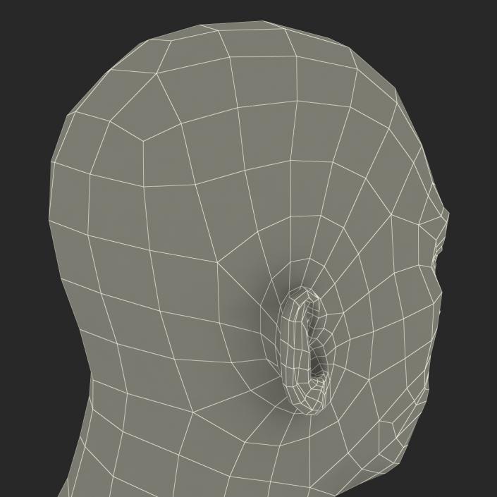 Asian Male Head Rigged 3D