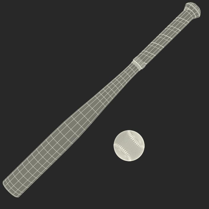 3D Baseball and Metal Baseball Bat