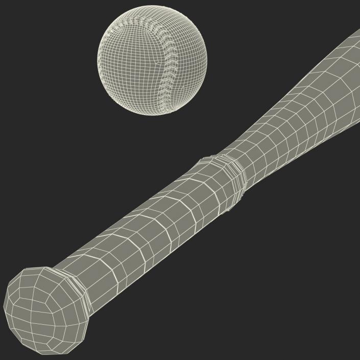 3D Baseball and Metal Baseball Bat