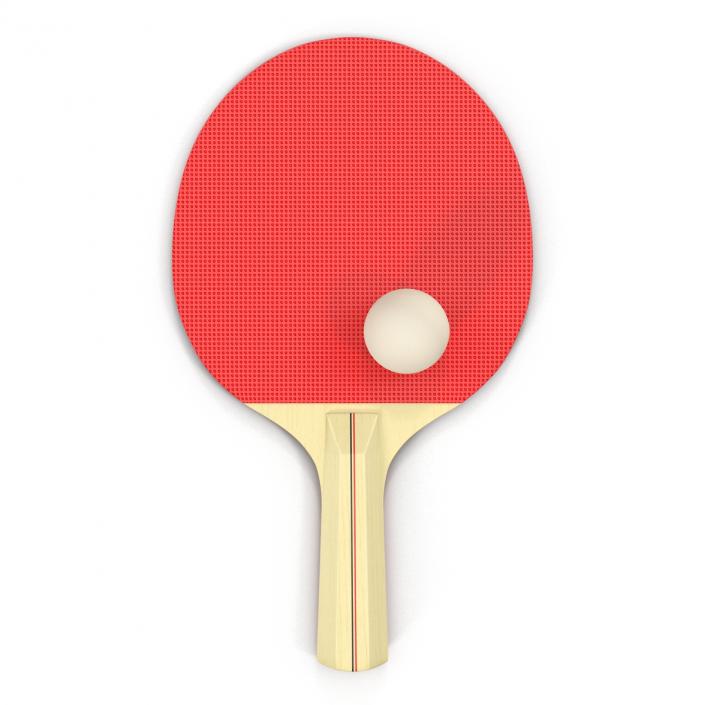 3D model Ping Pong Ball and Paddle