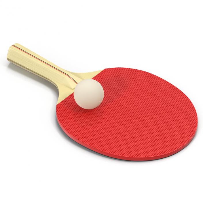 3D model Ping Pong Ball and Paddle