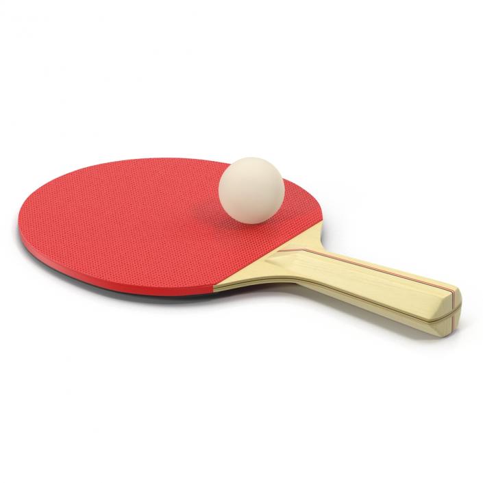 3D model Ping Pong Ball and Paddle