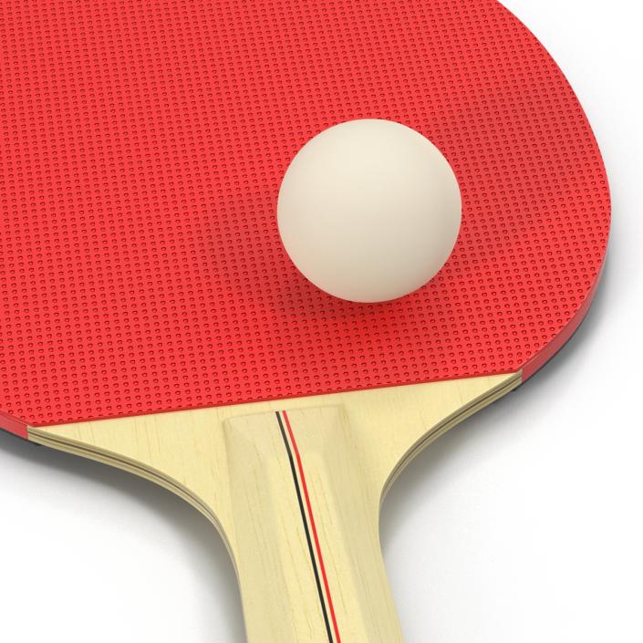 3D model Ping Pong Ball and Paddle