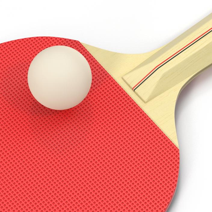 3D model Ping Pong Ball and Paddle