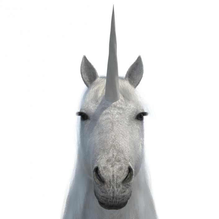 3D Unicorn with Fur 2 model