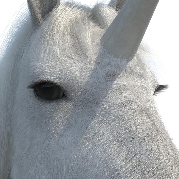 3D Unicorn with Fur 2 model