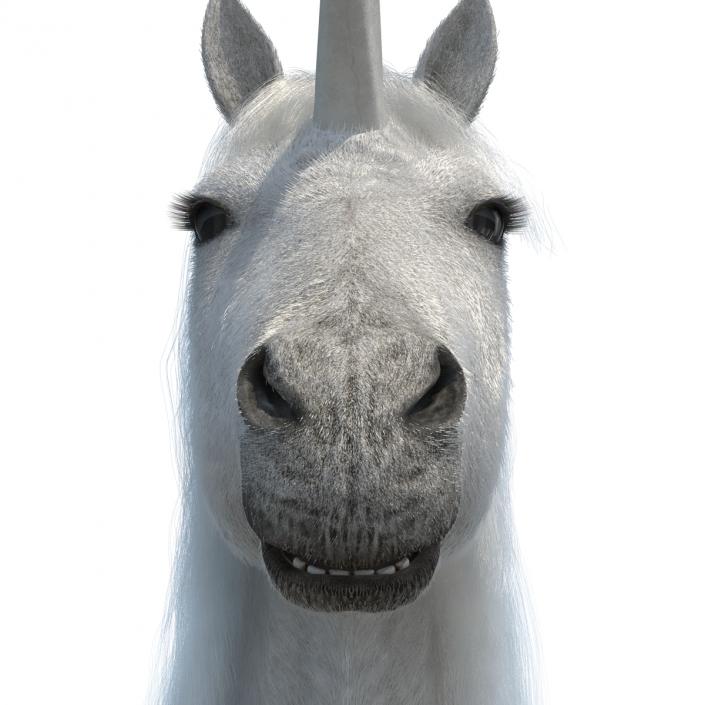 3D Unicorn with Fur 2 model