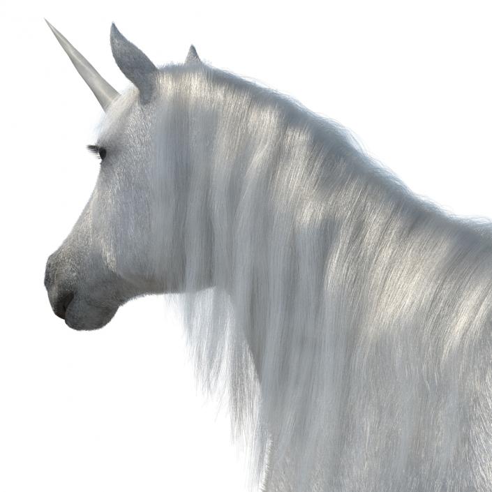 3D Unicorn with Fur 2 model