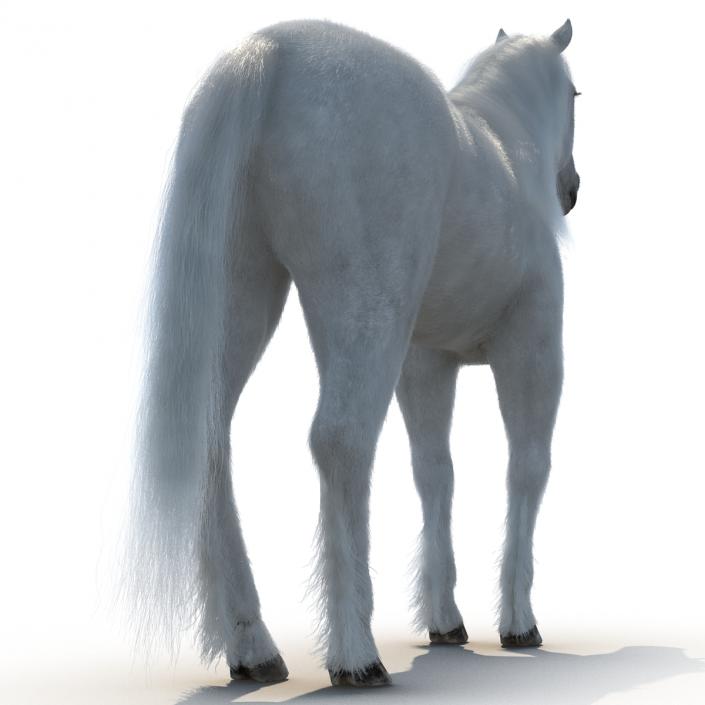 3D Unicorn with Fur 2 model